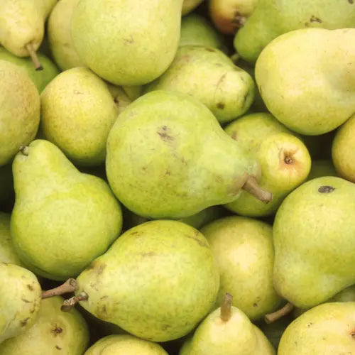 Poire Comice