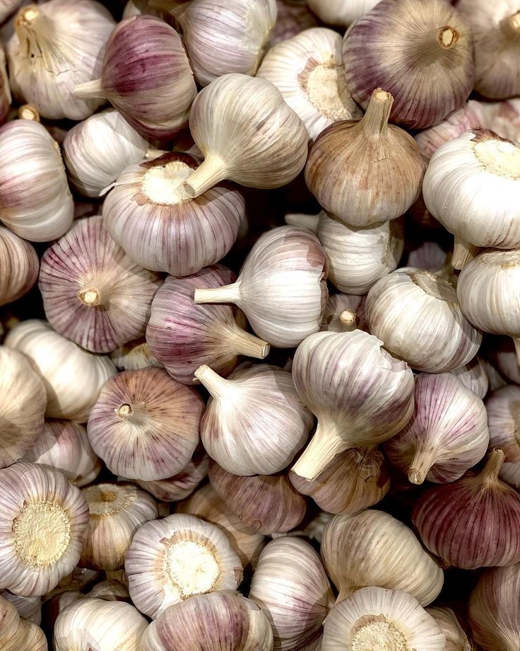 Ail Violet