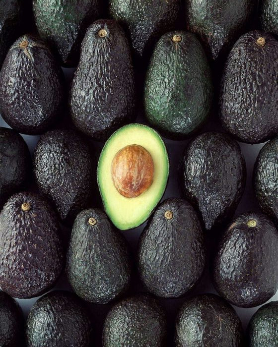 Avocat ( Prêt à Manger )