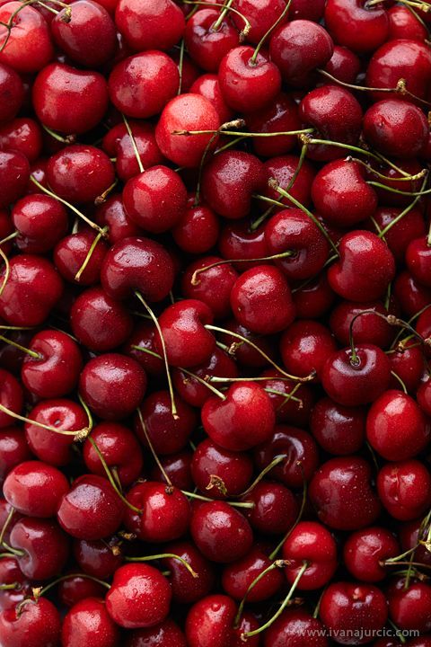 Une barquette de cerises 500g