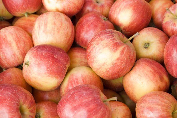 Pommes Royal Gala