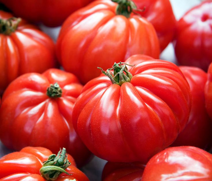Tomates Marmande