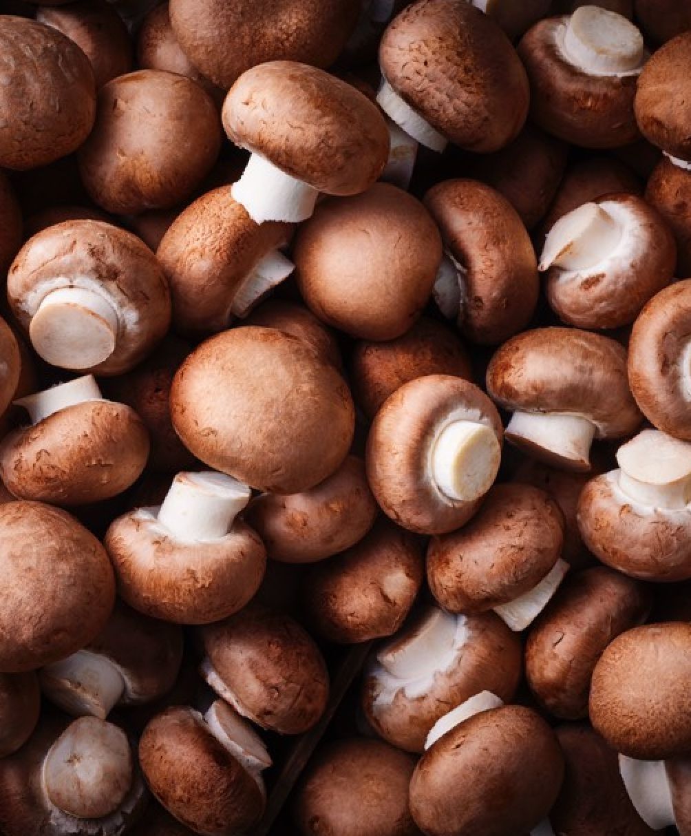Champignon de Paris