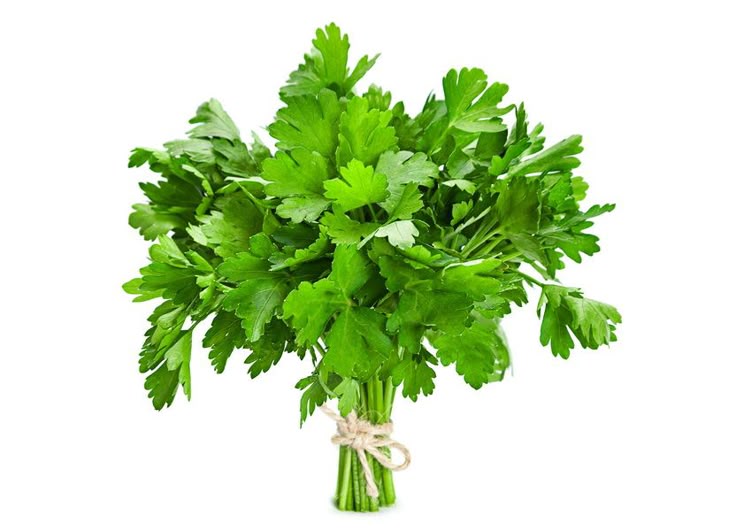 Botte Persil Plat