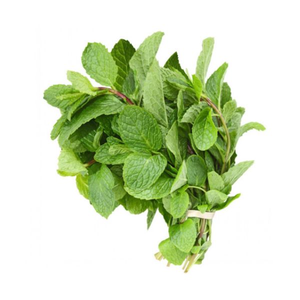 Botte de Menthe