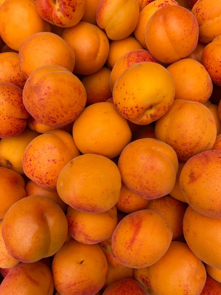 Abricots barquette