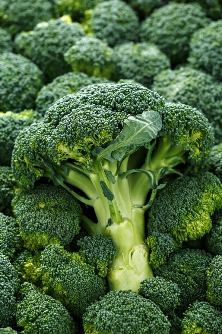 Brocoli