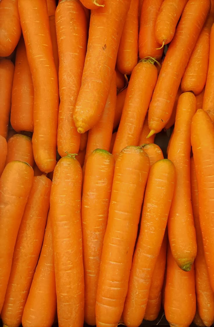Carottes