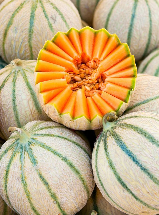 Melon Charentais