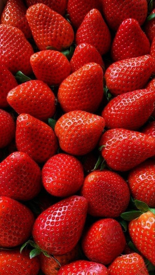 Fraises Espagne 500g