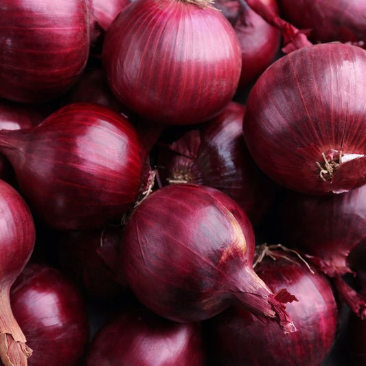 Oignons Rouges