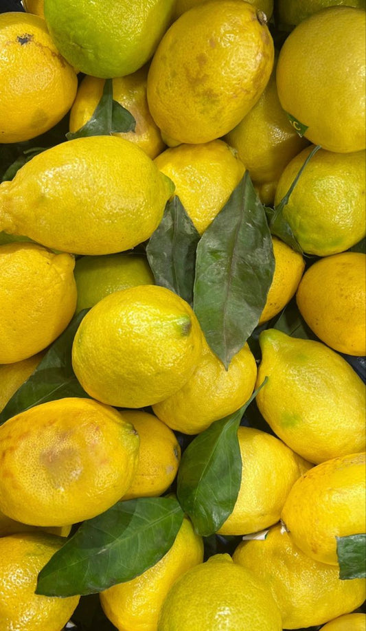 Citron feuilles non traité
