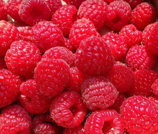 Framboises