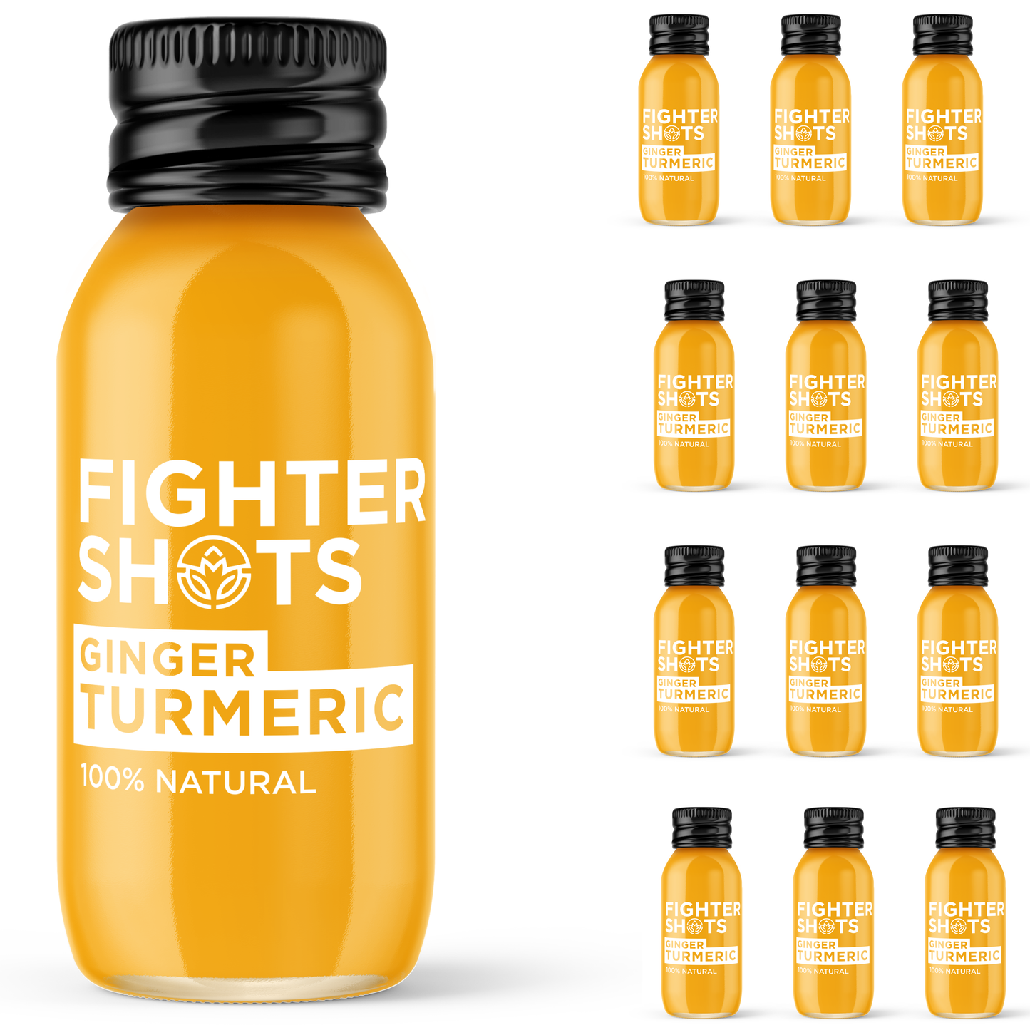 Fighter Shots Gingembre + CURCUMA 60 ml